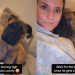 Dog Makes Owner Smile With This Unexpected Gesture