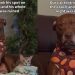 Video: Dog’s Night Is ‘Ruined’ After Cat Takes His Spot on Couch