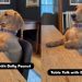 Dachshund’s ‘Table Talk’ With Mom Is Unlike Anything You’ve Seen
