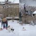 Video: What It’s Like to Build a Snowman With 5 Dogs Around