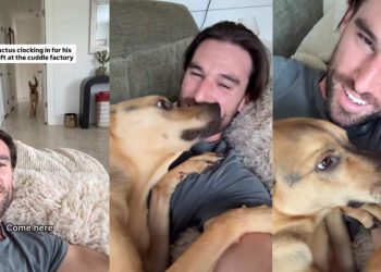 Video Shows Rescue Pup Running to Owner for Hugs
