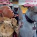Deaf Rescue Dog Falls in Love With Baby, Then the Unexpected Happens