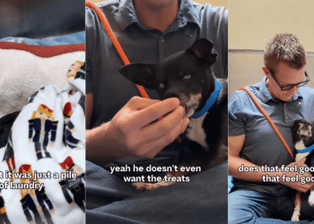 Blind Shelter Dog Chooses Love Over Treats & Finally Gets a Name