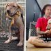 Rescue Dog Living in ‘Fear’ Finally Experiences a World Full of Love