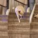 Dog Adorably Takes Multiple Rests While Coming Down Stairs