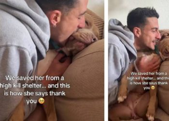 Rescue Dog Saved From Shelter Finds New Life & Thanks Dad With Kisses