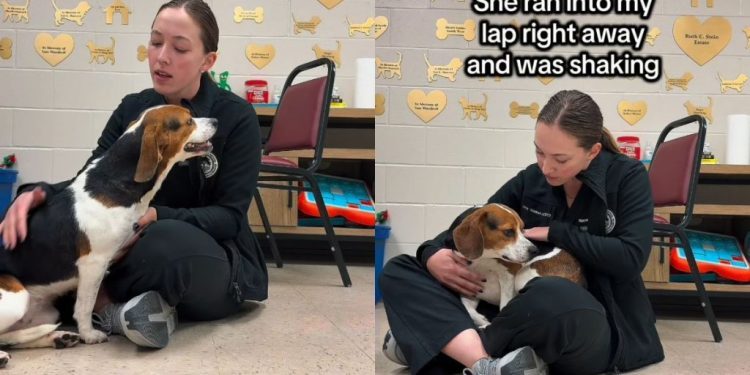Rescue Dog Wouldn’t Stop Crying Because She Needed To Know She Wasn’t Alone