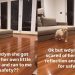 Golden Retriever Knows Mom Will Keep Her Safe, Runs to Her When Scared