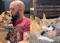 Dog Sneaks Into Neighbor’s House Through Fence, Then Comforts Grieving Family