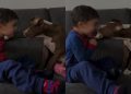 Dog Doesn’t Need Words, Only Kisses To Show How Much He Loves Little Boy