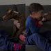 Dog Doesn’t Need Words, Only Kisses To Show How Much He Loves Little Boy