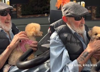 Dog Still Gets Excited To See the Man She Met as a Pup, Covers Him in Kisses