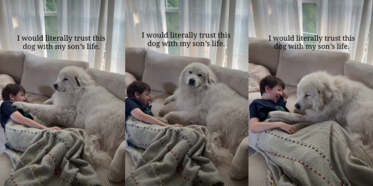 Dog Grew up With Little Boy & Now They Share Unbreakable Bond
