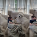 Dog Grew up With Little Boy & Now They Share Unbreakable Bond