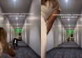 Dog Reunites With Mom After a Month, but Pauses Before Running to Her