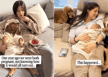 Pregnant’ Dog & Mom Have Their Babies Growing up Together Like a Fairytale