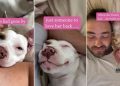 Deaf Rescue Dog Waited Years for Love, Now Holds on Tight After Finding Dad