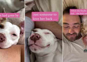 Deaf Rescue Dog Waited Years for Love, Now Holds on Tight After Finding Dad