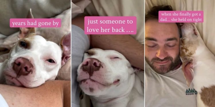Deaf Rescue Dog Waited Years for Love, Now Holds on Tight After Finding Dad