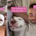 Deaf Rescue Dog Waited Years for Love, Now Holds on Tight After Finding Dad