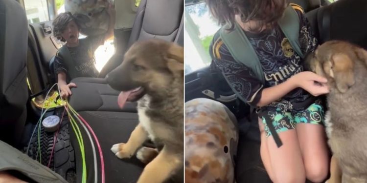 Puppy Makes Little Boy Cry Happy Tears When They First Meet, Then Gets Sweet Hug