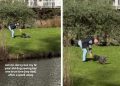 Senior Dog Runs Across Park To Meet One True Love & It’s Just Grandpa