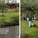 Senior Dog Runs Across Park To Meet One True Love & It’s Just Grandpa