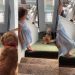 Golden Retriever’s Part of Kids’ Team Enjoying Mattress Slide