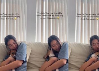 Foster Dog Doesn’t Leave When Mom Hugs Him, Instead He Leans in Closer