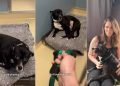 ‘Terrified’ Rescue Dog Too Scared To Leave Kennel Gets Surprise Full of Love
