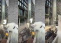 After Dog Crashes a Marvel Movie Shoot, Internet Demands He Star in It