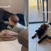 Dog & Little Boy Growing up Together Shows a Bond That Only Gets Better With Time