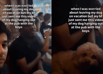 Dog Enjoys Quality Boys Time After Mom Leaves Him To Go on Vacation