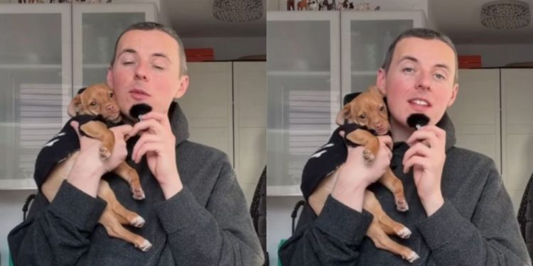 Rescue Dog Has a Message for Human Who Abandoned Him