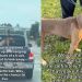 Rescue Dog’s Life Almost Ended Until Someone Refused To Look Away