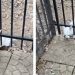 Rescue Dog Plots an Escape Plan Before Hilariously Getting Caught