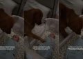 Golden Retriever Uses the Best Trick He Knows To Calm Crying Baby