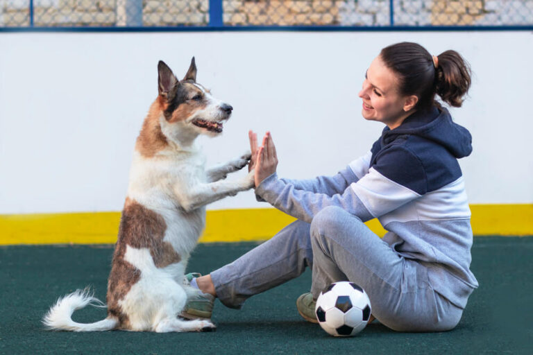 Training & Behavior