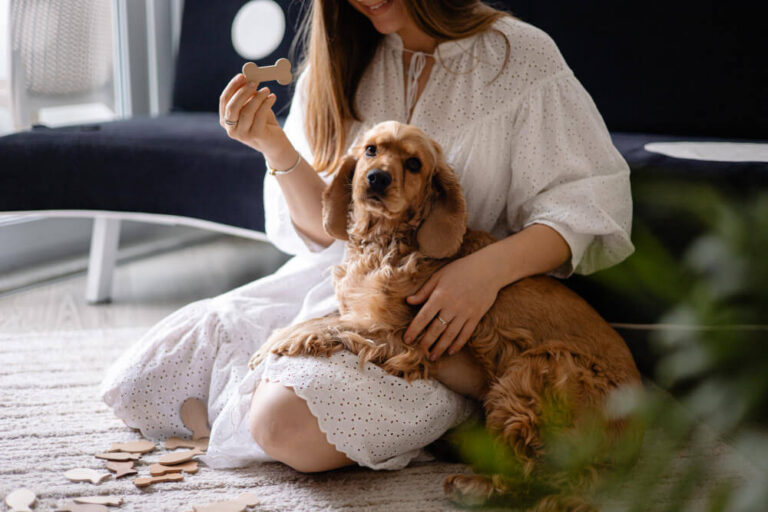 Pet Care
