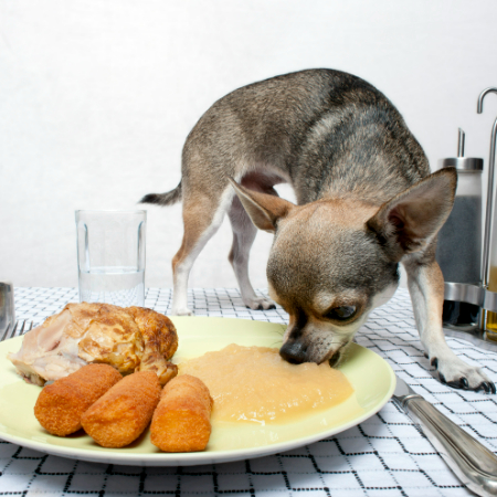 Choose a limited-ingredient diet with novel proteins (like duck or venison) and carbs (like sweet potato) that your dog hasn't eaten before.
