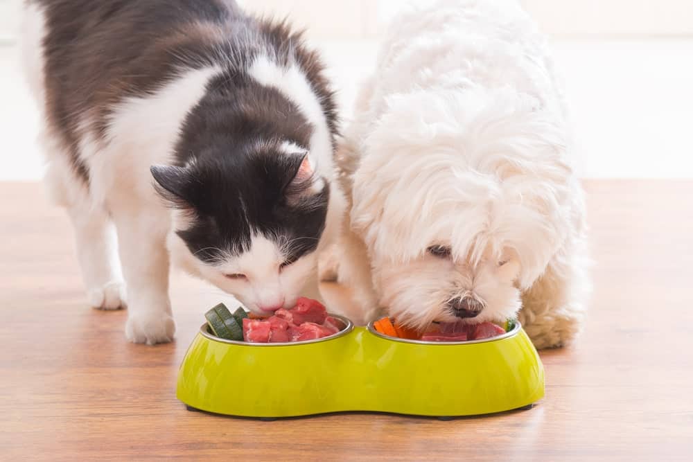 pet food