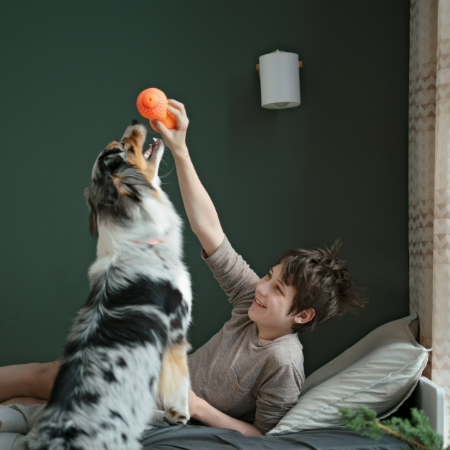 Rainy days are the perfect opportunity to work on training with your dog. 